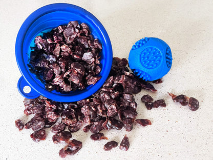 Doggie Treats PLUS Bag - Doggie Treats